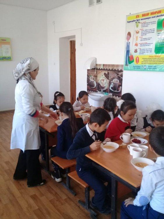 Тамақтандыру  айдары