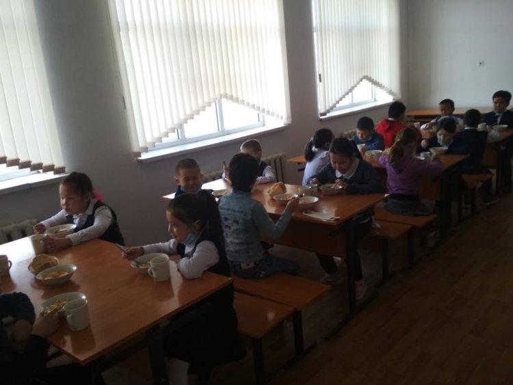 Тамақтандыру  айдары